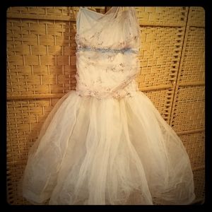 Fairy tutu and leotard